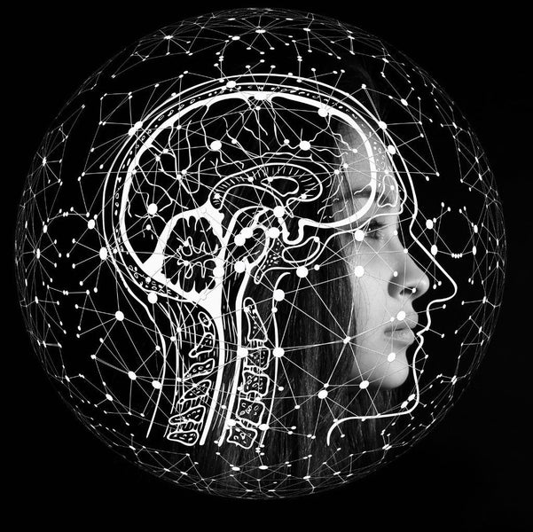 Thinking in Sync: How Brain Rhythms Support Intelligence