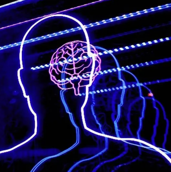Key Pathway Discovered Linking Neurons to Memory Genes