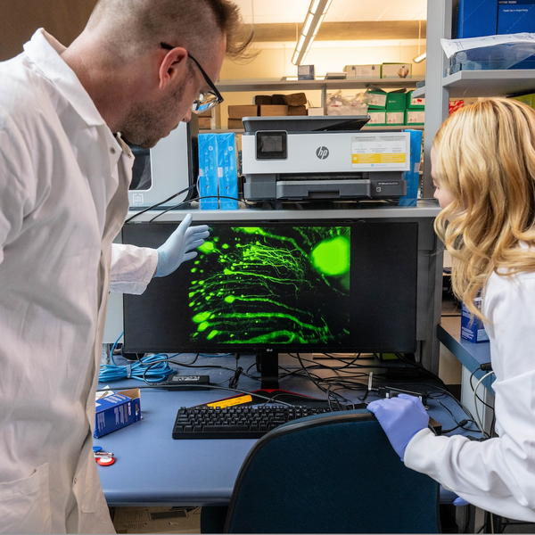 Meet the Newly Discovered Brain Cell that Allows You to Remember Objects
