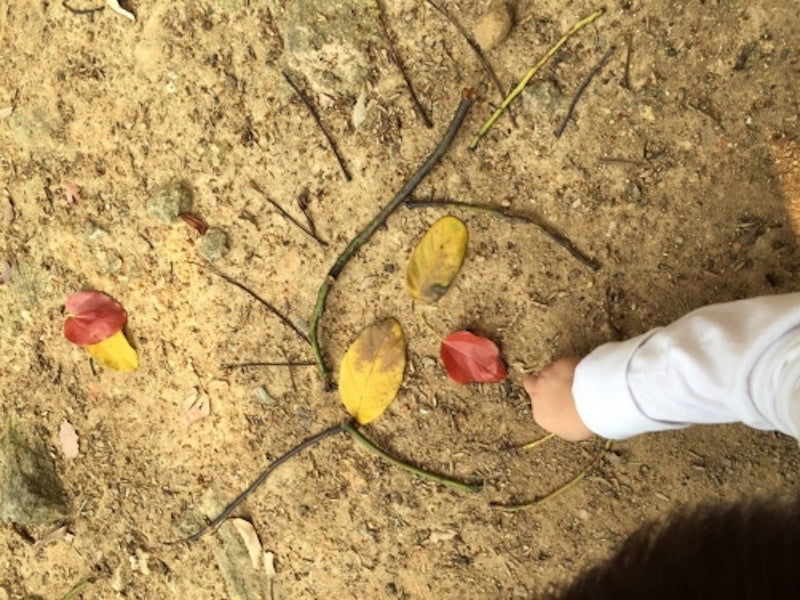 Connection of children to nature brings less distress, hyperactivity and behavioral problems