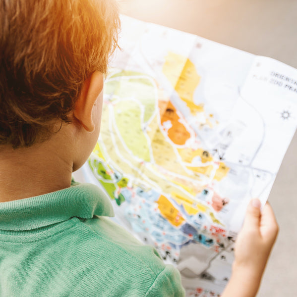 Can Children Map Read at the Age of Four?