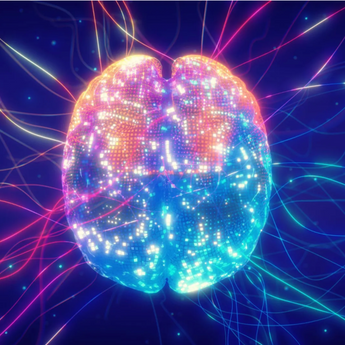 How the Brain Handles Uncertainty and Change