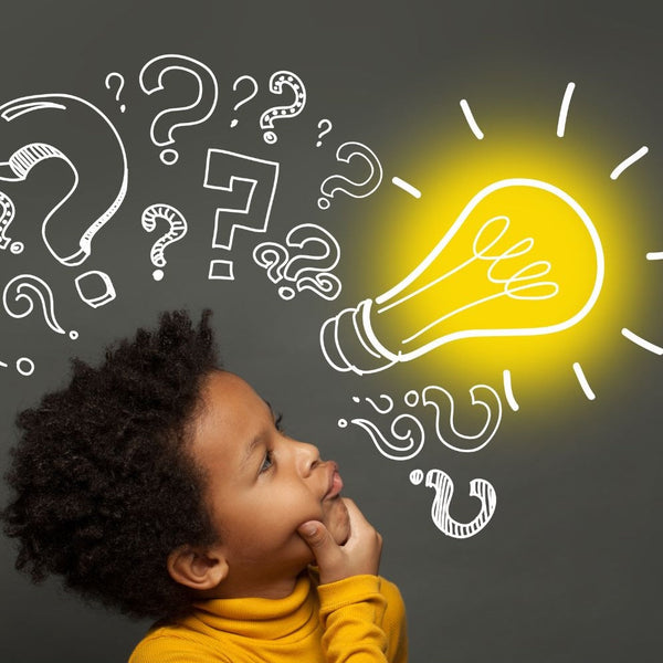 Rethinking How our Brains Use Categories to Make Sense of the World