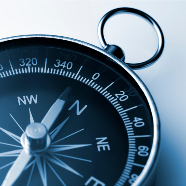 Scientists Just Found the Brain’s Secret GPS System