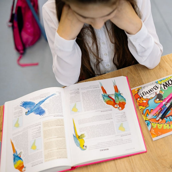 The Problem with Word Problems: Are Pictures the Answer?
