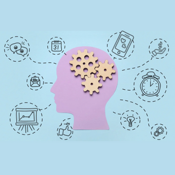 Why Some Brains Switch Gears More Efficiently Than Others