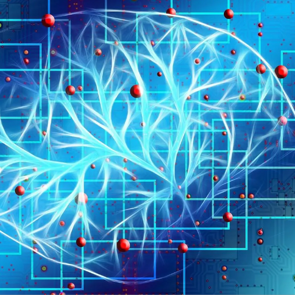 New Brain Mapping Technique Reveals Insights into Attention and Language