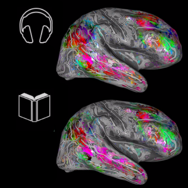 A Map Of The Brain Can Tell What You’re Reading
