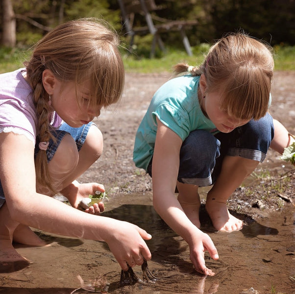 Young Children Would Rather Explore Than Get Rewards